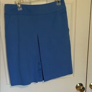Elegant Blue worth New York Women's Skirt size 6